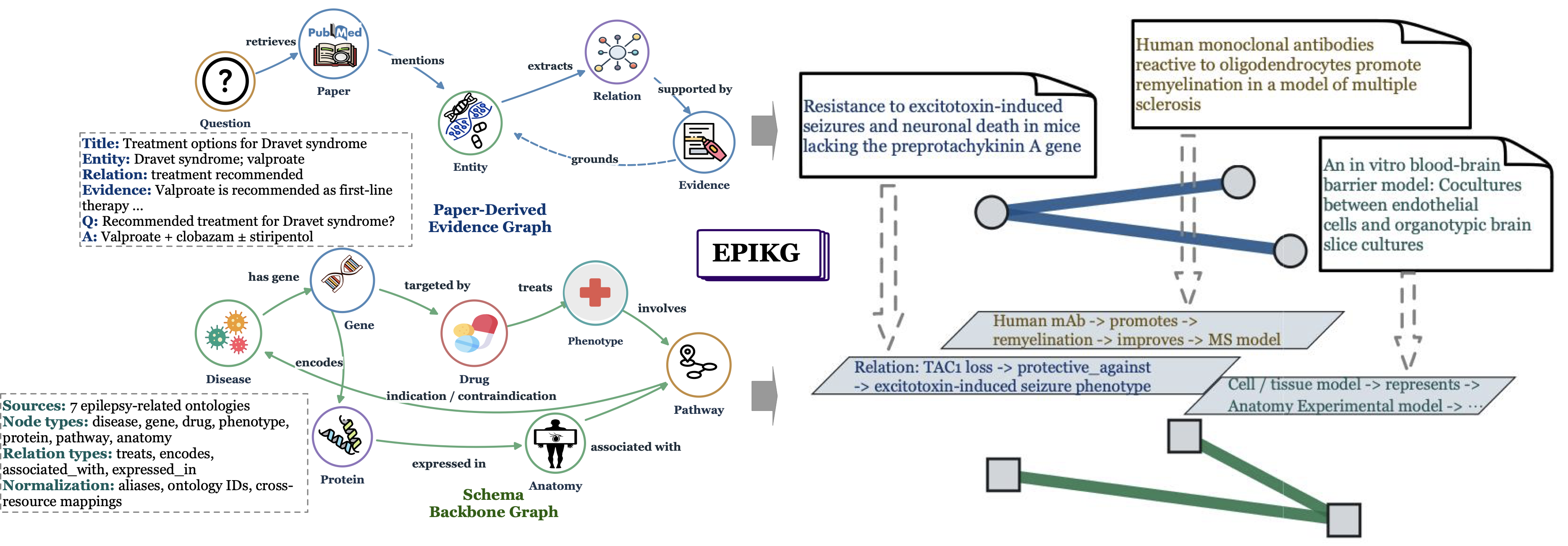EpiKG knowledge graph schema