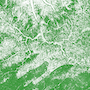 Vegetation visual