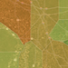Forecast grid visual